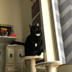 Meet your Posher, Mckenna